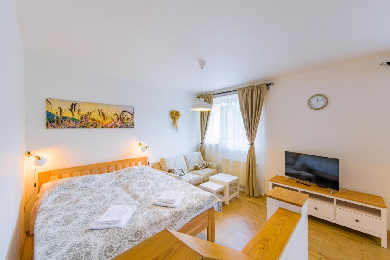 Apartmany Lipno 46 伏尔塔瓦河畔利普诺 外观 照片